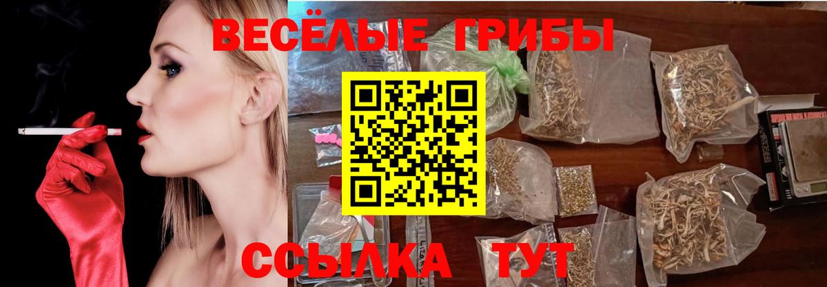 Галлюциногенные грибы прущие грибы  Галлюциногенные грибы Psilocybe  Керчь  Вход с VPN 